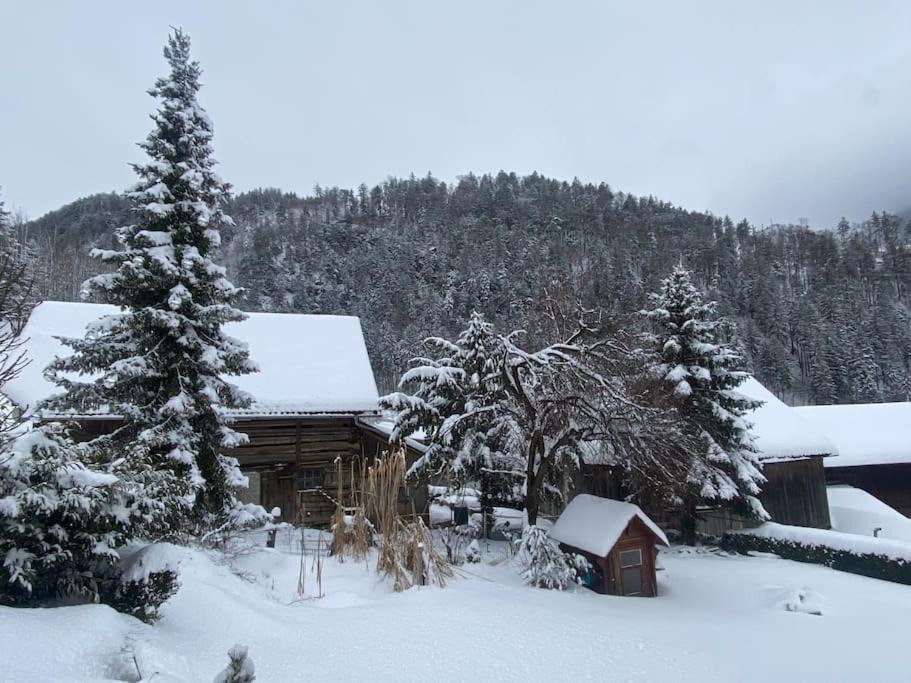 Panorama Wohnung Rungelin Bludenz Esterno foto